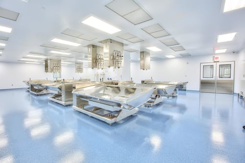 The Beauty of Lorem Ipsum: A Visual Exploration