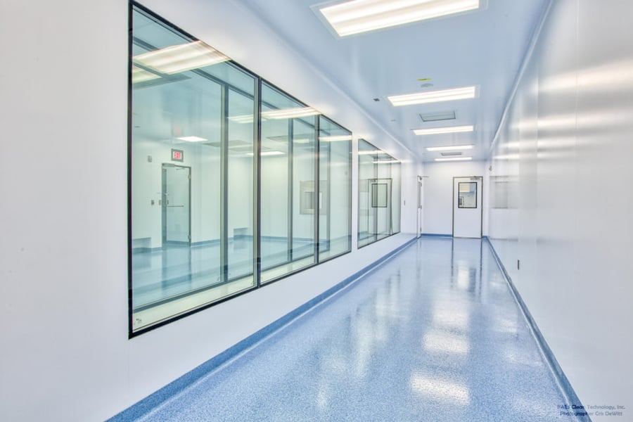 The Lorem Ipsum Revolution: Shaping the Future of Web Content