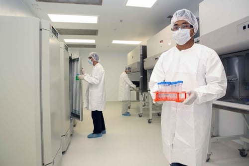 Exploring Lorem Ipsum Variations: Diverse Text for Every Need