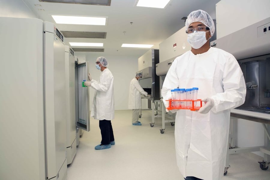 Exploring Lorem Ipsum Variations: Diverse Text for Every Need