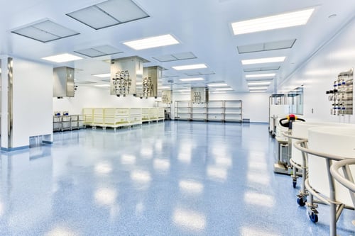 Lorem Ipsum Today: Applications and Adaptations