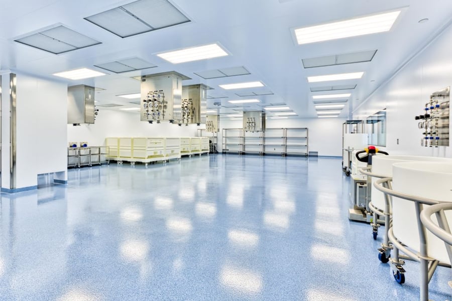 Lorem Ipsum Today: Applications and Adaptations