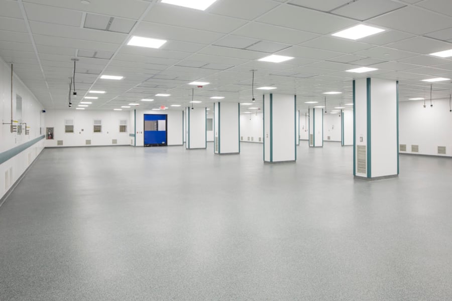 The Lorem Ipsum Experience: Crafting Seamless User Interfaces